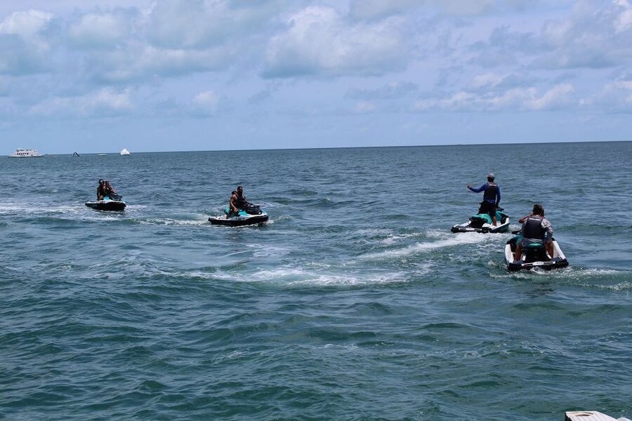 Miami to Key West Shuttle: Dolphin, Snorkeling & More - Key points worth knowing before you go