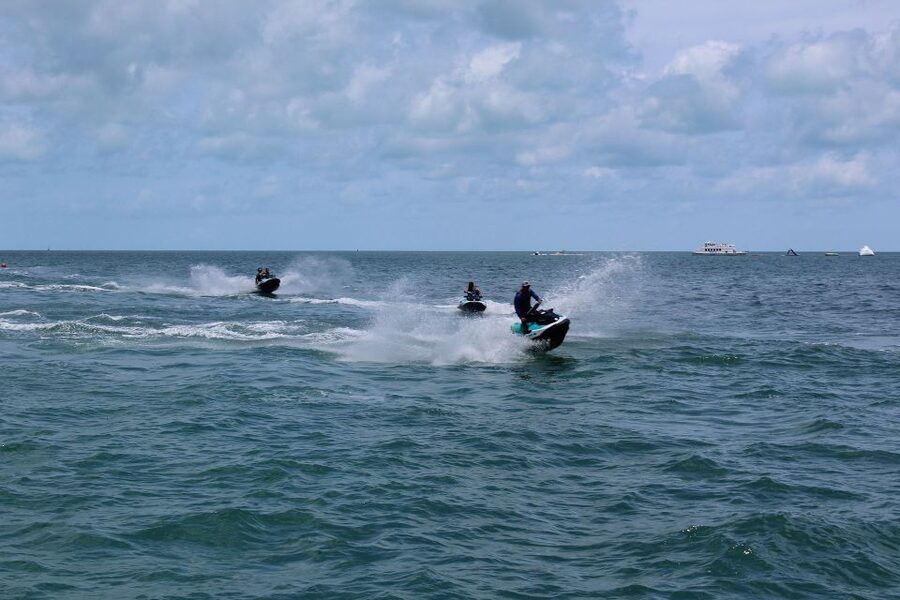 Miami to Key West Shuttle: Dolphin, Snorkeling & More - Dolphin watching and snorkeling: what you might see and what to pack