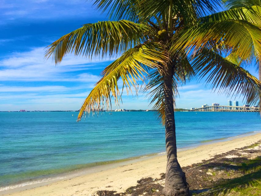 Miami: Windsurfing for Beginners and Experts - Your 1-Hour Session: What the $39 Covers (and What It Does Not)