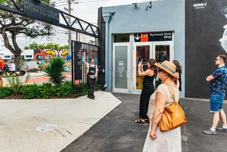 Miami: Wynwood Walls, Galleries, and Murals Guided Tour - Peter Tunney Experience: one-artist stop with personal energy