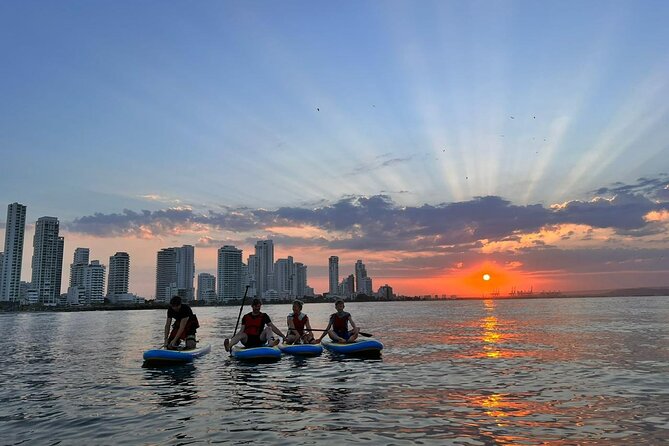 MORNING TOUR PaddleBoard or kayak - The 1-Hour Flow: What You’ll Do Once You’re On Site