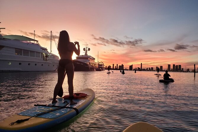 MORNING TOUR PaddleBoard or kayak - Views and Marine Life: What You’re Really Getting From the Water