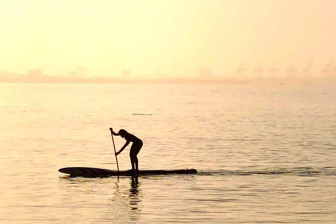 MORNING TOUR PaddleBoard or kayak - The Real Safety Story: Flat Water Helps, But You Still Need Sense