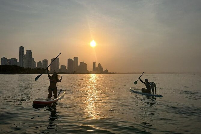 MORNING TOUR PaddleBoard or kayak - Price and Value: Is $50 for an Hour a Good Deal?