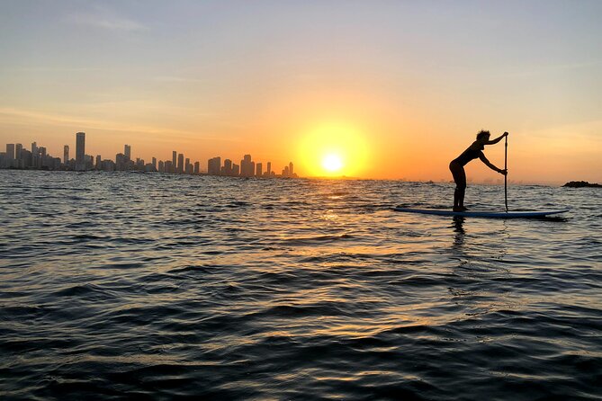 MORNING TOUR PaddleBoard or kayak - Who This Paddleboard or Kayak Session Fits Best
