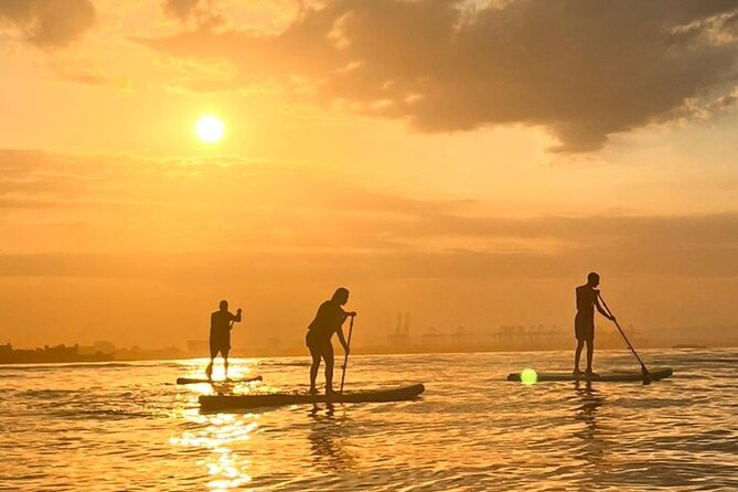 MORNING TOUR PaddleBoard or kayak - Paddleboard vs Kayak: Pick the Tool That Matches Your Comfort