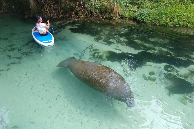 Nature & Island Exploration on SUP/Kayak - Key things that make this tour worth your time