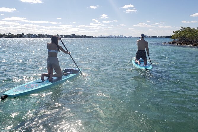 Nature & Island Exploration on SUP/Kayak - SUP or kayak: how to choose what fits you
