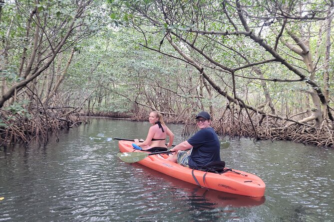 Nature & Island Exploration on SUP/Kayak - Group size, comfort, and the “how crowded will it feel” question