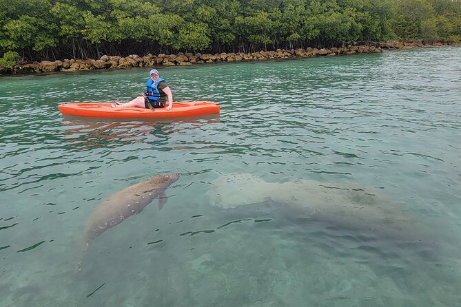 Nature & Island Exploration on SUP/Kayak - The afternoon flow: from paddling basics to a wildlife route
