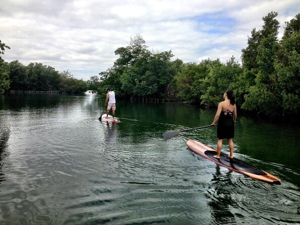 Nature Stand Up Paddle Boarding Experience in Miami - Key highlights you should care about