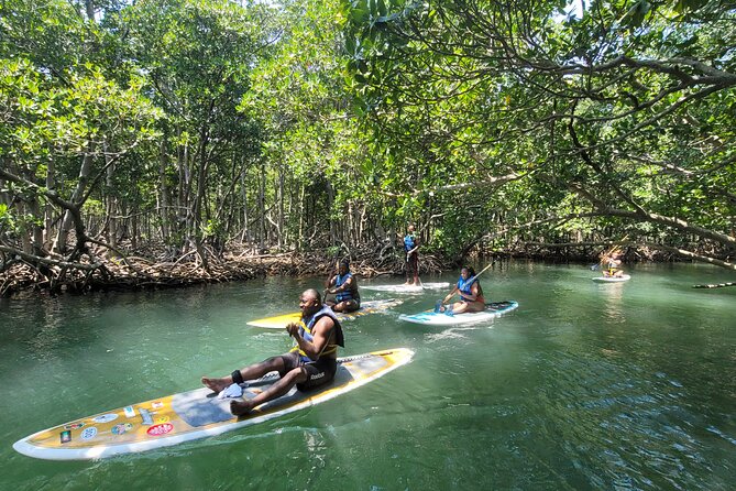 Nature Stand Up Paddle Boarding Experience in Miami - What you are really paying for (it is more than a board ride)