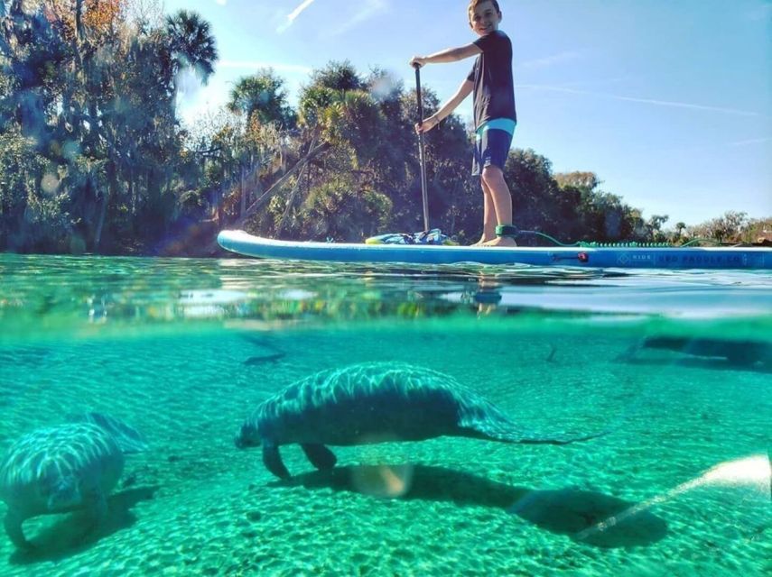 North Miami: Nature & Island Exploration on SUP/Kayak - Key things to know before you go