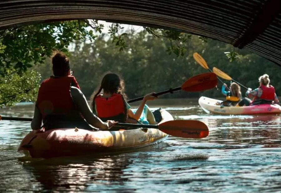 Oleta River State Park: Eco Kayak or Paddleboard Tour - Tour basics: guided kayak or paddleboard in about 2.5 hours