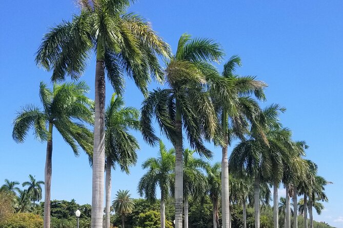 Palm Beach Tour from Miami - Flagler's Museum + Hotel Breakers - Palm Beach in One Day: What the 6 Hours Feel Like