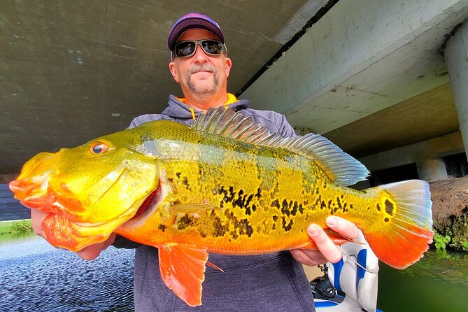 Peacock Bass Fishing Trip near Miami South Beach - Captain coaching for beginners, plus real help for anglers