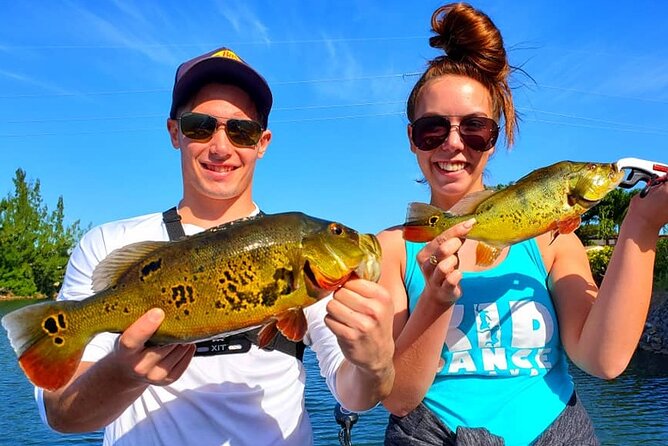 Peacock Bass Fishing Trip near Miami South Beach - What I love about peacock bass action in this fishery
