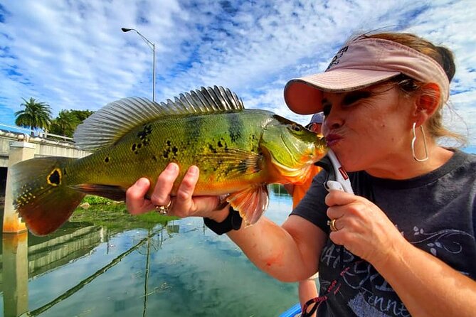 Peacock Bass Fishing Trip near Miami South Beach - Wildlife on the water: iguanas and even wild macaws
