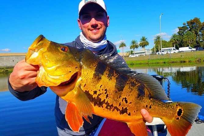 Peacock Bass Fishing Trips Near Miami Florida - Key Highlights You Should Know Before Casting