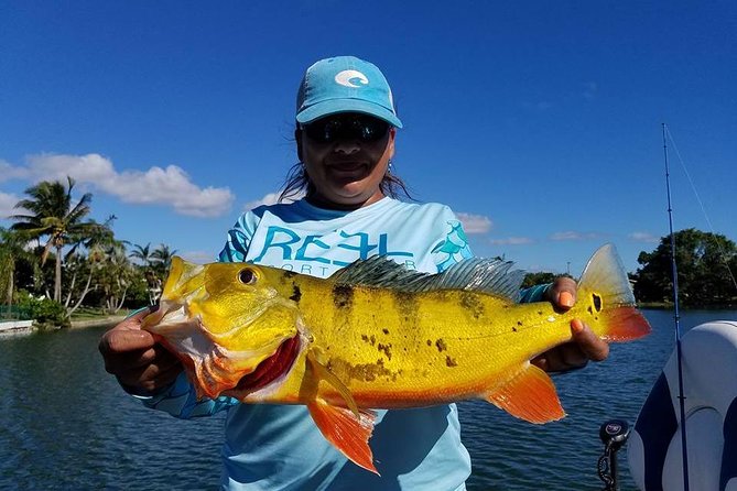 Peacock Bass Fishing Trips Near Miami Florida - Captains Who Teach, Not Just Fish: What You Get From the Guide
