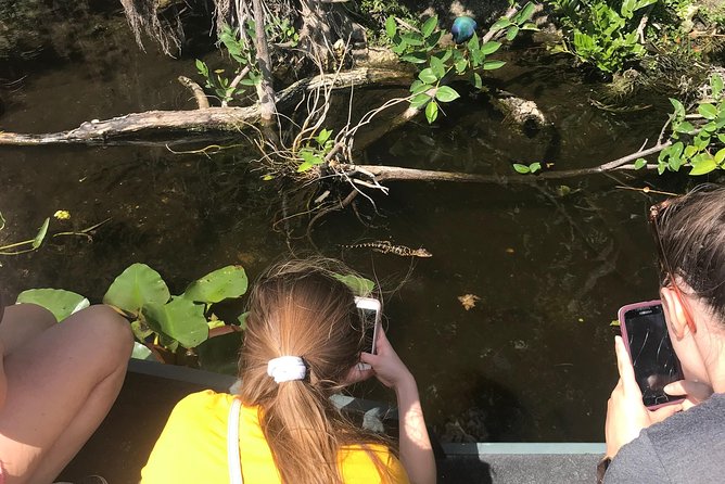 Private 2-Hour Airboat Tour of Miami Everglades - The 2-hour plan: how the timing works around Miami