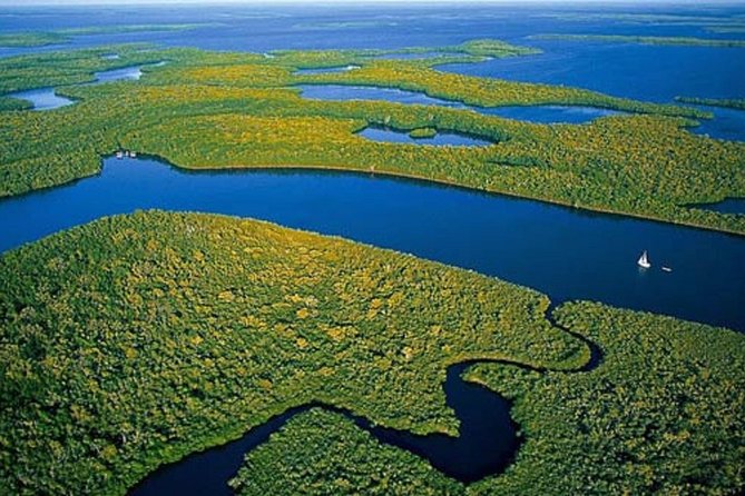 Private 4 Hour Everglades Tour with shared Airboat - Key highlights to know before you go