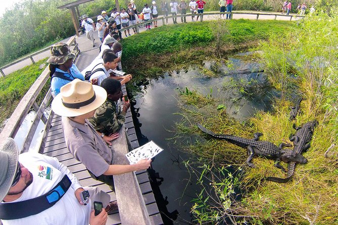 Private 4-hour Tour of Everglades from Miami Dade - The semi-private airboat ride: short, close, and generally worth it
