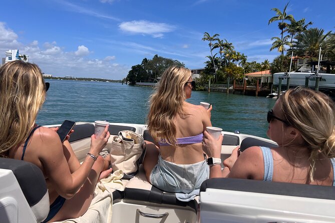 Private Boat Tour - Snorkeling, Star Island & Dolphin Spotting - Dolphins: How to Increase Your Chances Without Guesswork