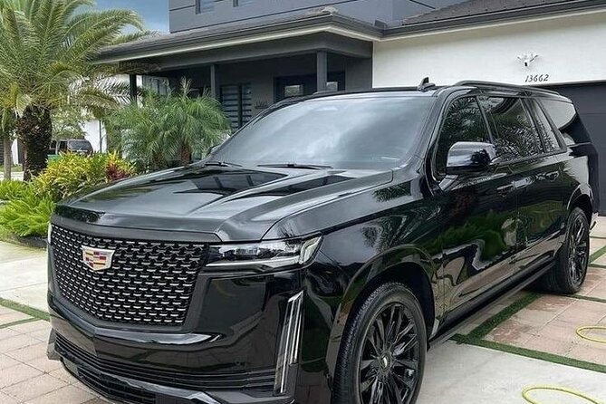 Private Cruise Port Transfer from MIA Airport or Any Miami Hotel - Who This Transfer Suits Best in Miami