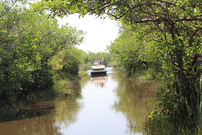 Private Everglades Airboat Tour with Pick up and Everglades Guide - Airboat basics: safety, speed, and what you can actually expect