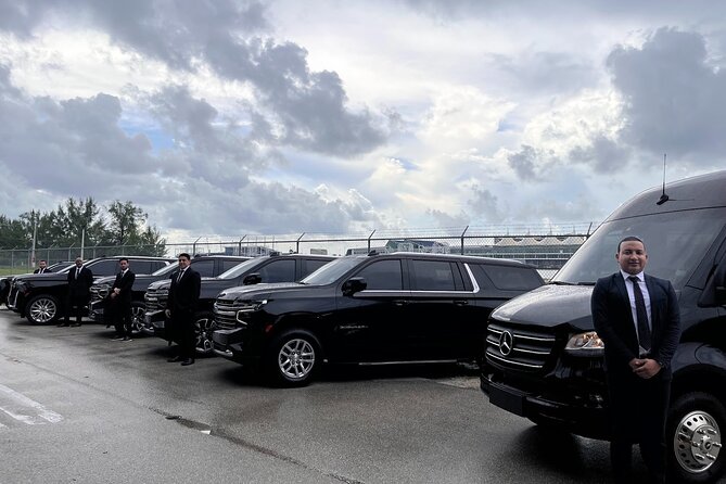Private Group Transfer Service From Port of Miami & Miami Airport - Driver Help, Local Tips, and the Human Part