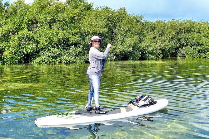 Private Guided Kayak or SUP Eco Adventure - Stop 1: Biscayne Bay Aquatic Preserve and the “why” behind the route