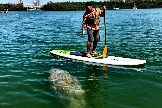 Private Guided Kayak or SUP Eco Adventure - Snorkel spots, optional gear, and making the most of the water time