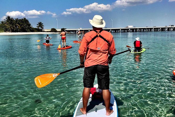Private Guided Kayak or SUP Eco Adventure - Kayak vs SUP: choosing the right way to glide