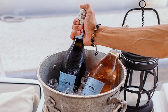 Private Luxury Miami River E-Boat Cruise & Wine and Charcuterie - Manatees on the route: wildlife spotting that feels peaceful