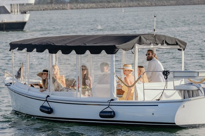 Private Luxury Miami River E-Boat Cruise & Wine and Charcuterie - Who should book this, and who might want a different plan