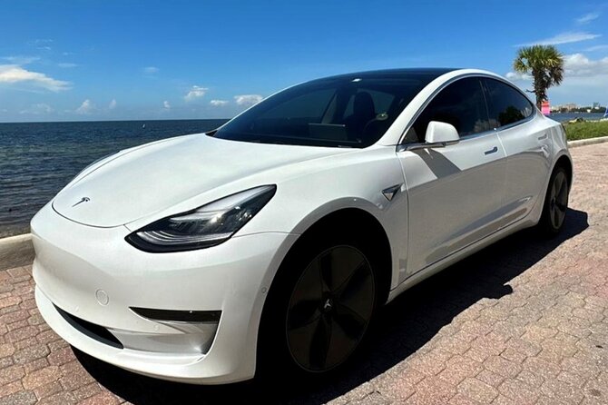 Private Miami City Tour in Tesla with local expert - Wynwood on foot: murals, snack breaks, and photo time
