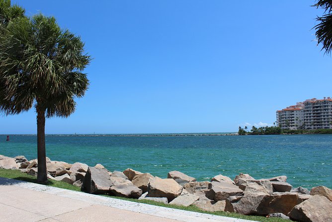 Private Miami City Tour with Expert Guide - Pacing a 5-hour day: walking, photos, and restroom reality