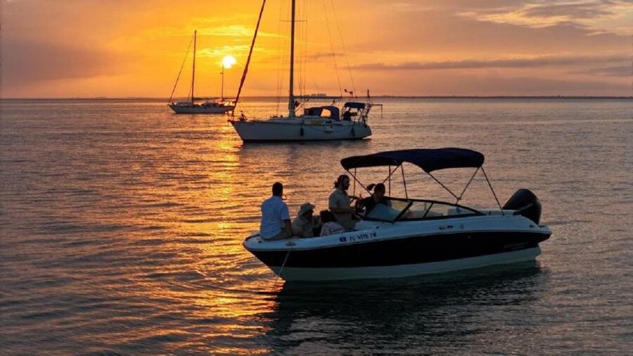 Private Sunset and Night Cruise in Miami with skyline views - Dolphin Watching and Marine Life: How to Think About It