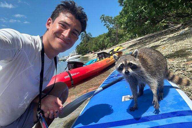 Raccoon Island Exploration on SUP/Kayak - Meeting the Raccoons on Sandspur Island: How the Island Time Works