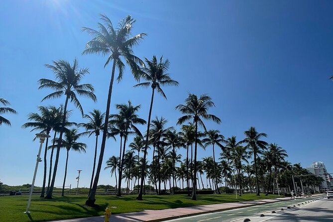 See it All in One Tour!! 6hr VIP Full Experience of Miami!! - Little Havana: Cuban flavor, cafecito stops, and local social life