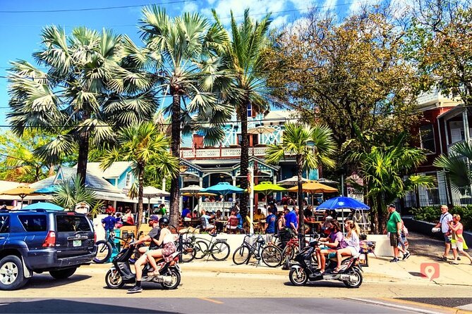 Self-Guided Audio Tour in Florida Keys - Key Deer and slow-driving zones near Big Pine Key