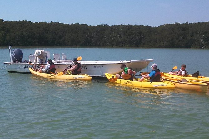 Small Group Boat, Kayak and Walking Guided Eco Tour Everglades - Why Chokoloskee works for an Everglades day