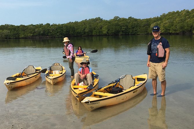 Small Group Boat, Kayak and Walking Guided Eco Tour Everglades - Barrier Island Beach: wrack lines, tidal zones, shells, and invertebrates