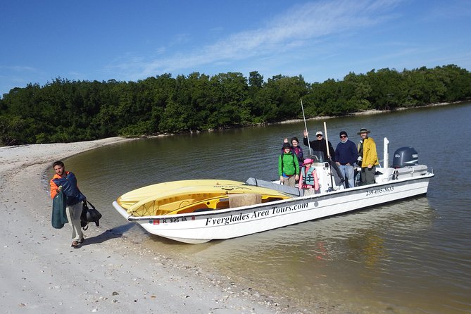 Small Group Boat, Kayak and Walking Guided Eco Tour Everglades - Wildlife chances: dolphins, birds, turtles, and the ones you cannot count on
