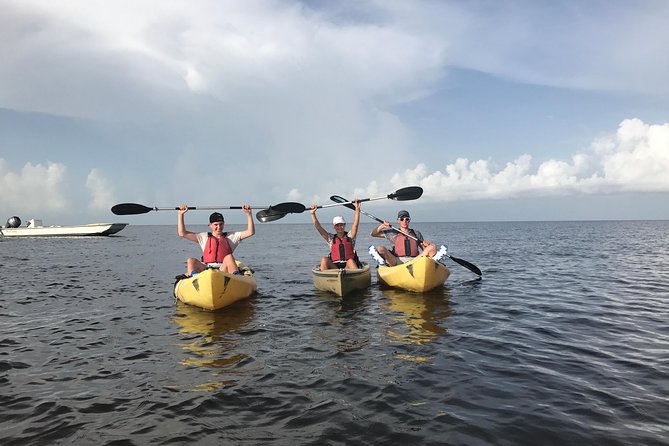 Small Group Boat, Kayak and Walking Guided Eco Tour Everglades - Ten Thousand Islands country from the water