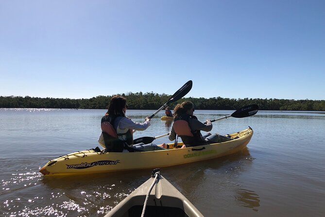 Small-Group Everglades Boating Kayaking and Walking Eco Tour - Barrier-island walking: where you slow down and learn the shoreline