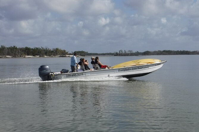 Small-Group Everglades Boating Kayaking and Walking Eco Tour - Meeting point and timing: keep it simple