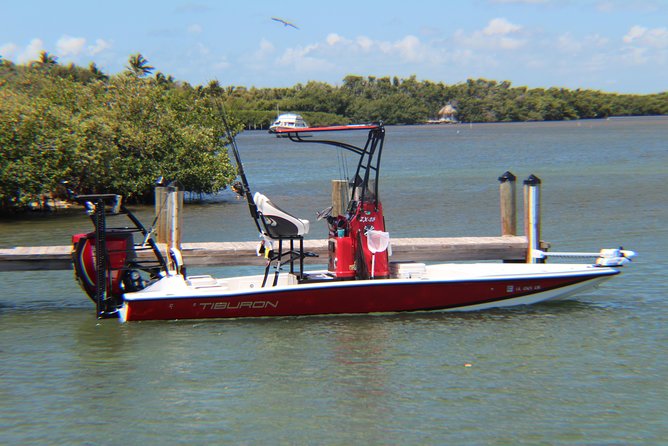 Small-group private Key West tour with expert guide - Who This Tour Fits Best (And Who Should Skip It)