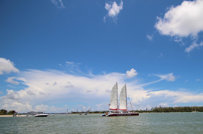 South Beach Sail Splash aboard the Caribbean Spirit - Looking for dolphins and wildlife while you cruise